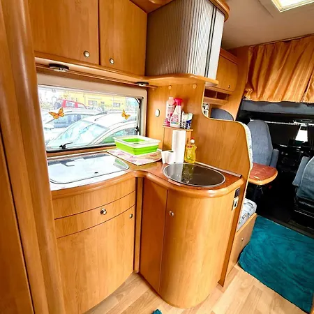 Tenerife Camper Experience Campingplads Valle de San Lorenzo